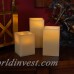 Luminarias 3 Piece Uncented Flameless Candle Set LNH1172